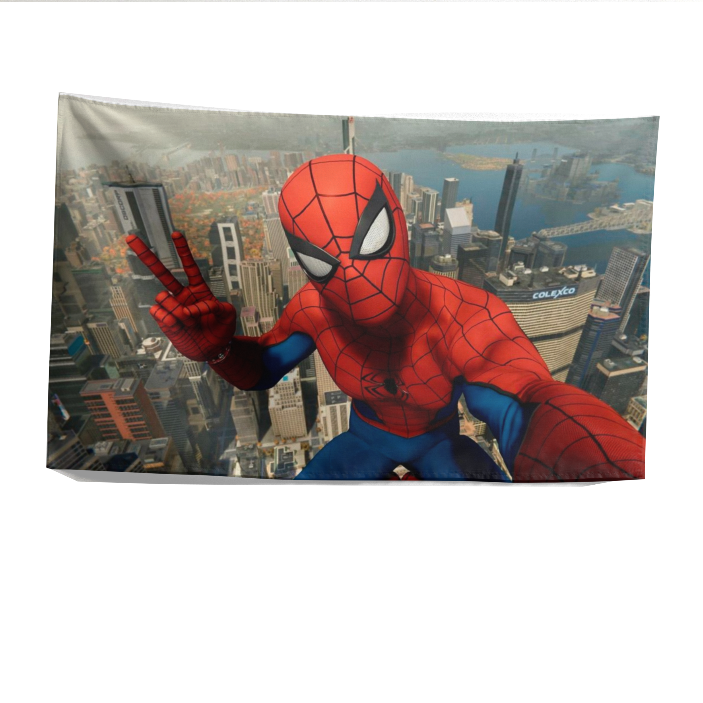SPIDER MAN