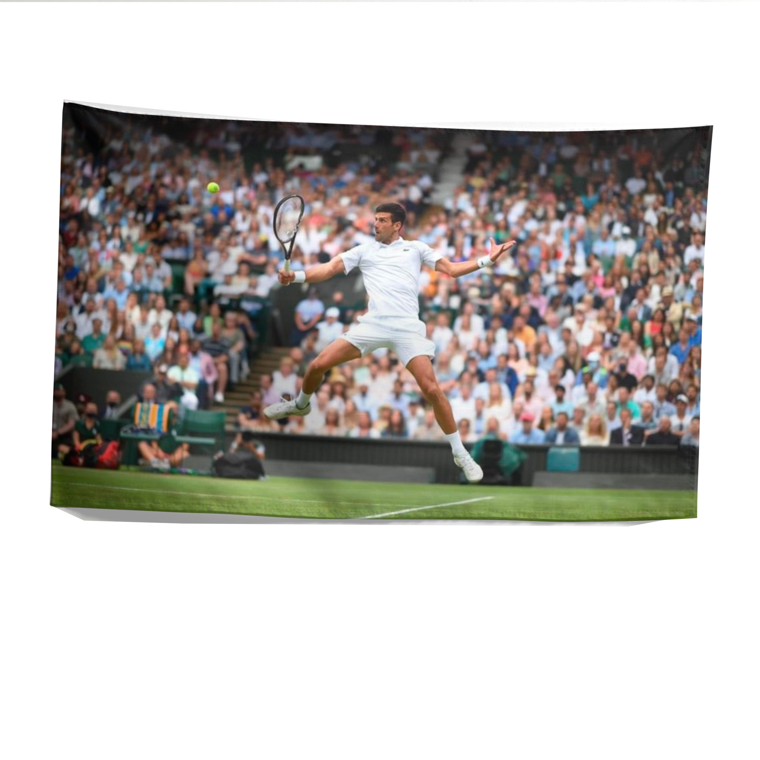 NOVAK DJOKOVIC